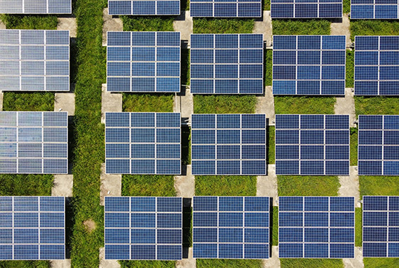 Solar panels in a field