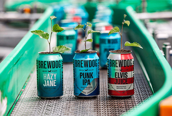 Brewdog imagery